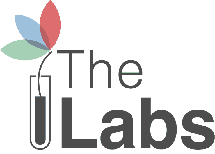 labs-logo - The Global Innovation Lab for Climate Finance