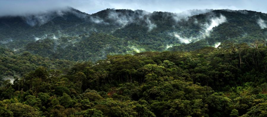 USD 2 billion in sustainable investment