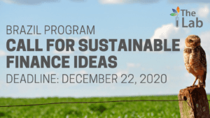 Call for Ideas 2021 - Brazil Program