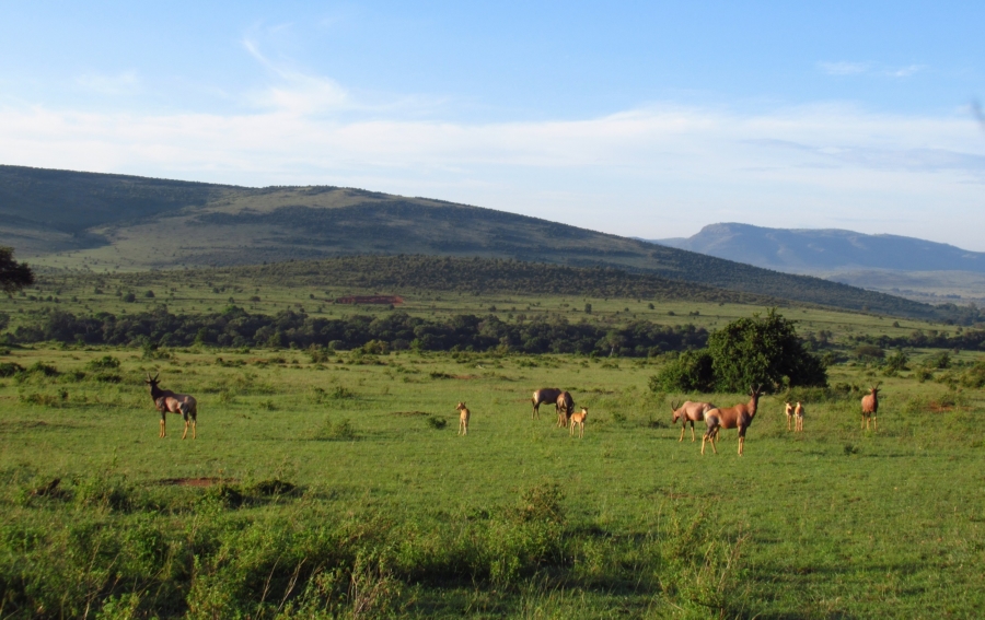 Six new ideas for a sustainable economic recovery